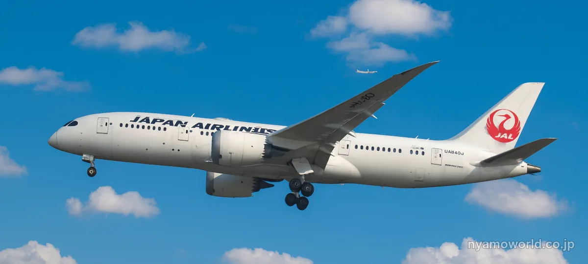 JALのBoeing 787 Dreamlinerが青空を飛行している様子(JALマイル自動積算のイメージ)