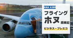 ana-flying-honu-premium-economy