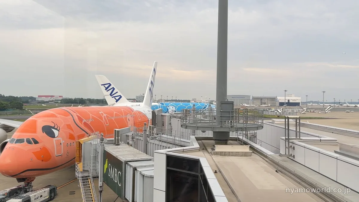 成田空港のラウンジの窓から見たオレンジ色のANA A380 フライングホヌ