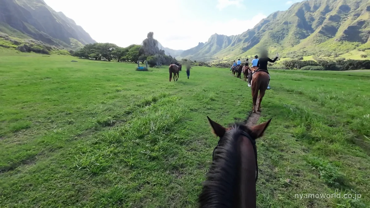 クアロア・ランチの草原を乗馬ツアーで進む列と背後の山並み