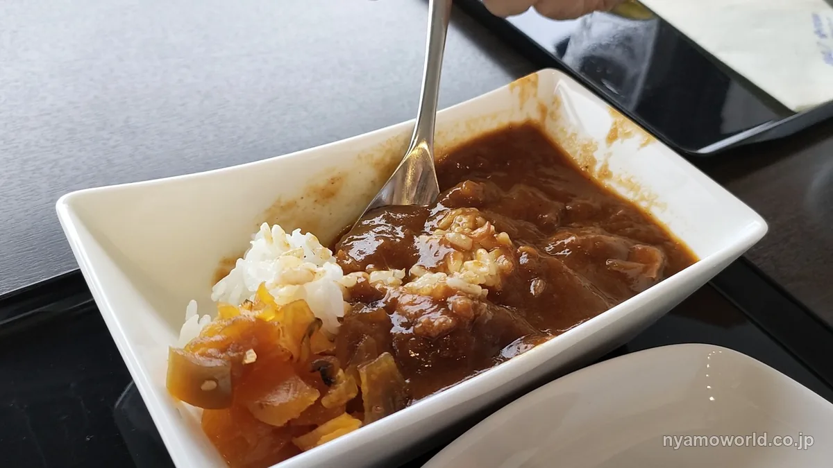 成田空港のANAラウンジで食べたカレー